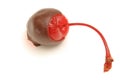 chocolate covered cherry Royalty Free Stock Photo