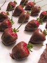 Chocolate Covered Strawberries Royalty Free Stock Photo