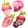 Chocolate-covered strawberries. Isolated elements. Watercolor illustration. Valentine`s Day.