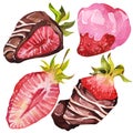 Chocolate-covered strawberries. Isolated elements. Watercolor illustration. Valentine`s Day.