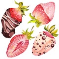 Chocolate-covered strawberries. Isolated elements. Watercolor illustration. Valentine`s Day.