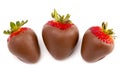 Chocolate Covered Strawberries on a White Background Royalty Free Stock Photo