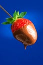 Chocolate covered strawberry Royalty Free Stock Photo