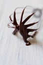 Chocolate-covered whisk macro