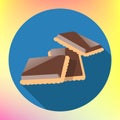 Chocolate cracker cookie flat icon