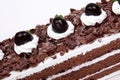 Chocolate cream cake Royalty Free Stock Photo
