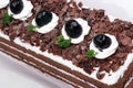 Chocolate cream cake Royalty Free Stock Photo