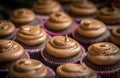 Chocolate Cream Cup Cakes Royalty Free Stock Photo