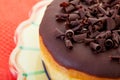 Chocolate Bismark Doughnut Royalty Free Stock Photo