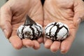 Chocolate crinkle cookies in powdered sugar Royalty Free Stock Photo