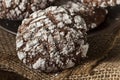 Chocolate Crinkle Cookies with Powdered Sugar Royalty Free Stock Photo