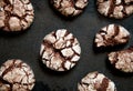 Chocolate Crinkles. Chocolate cookies in powdered sugar on a dark background Royalty Free Stock Photo