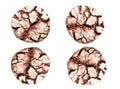 Chocolate Crinkles. Chocolate cookies in powdered sugar isolated on a white background Royalty Free Stock Photo