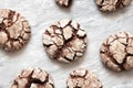 Chocolate Crinkles. Chocolate cookies in powdered sugar on a white background Royalty Free Stock Photo
