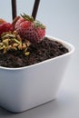 Chocolate crumble dessert. Conceptual image Royalty Free Stock Photo