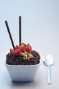 Chocolate crumble dessert. Conceptual image Royalty Free Stock Photo