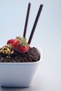 Chocolate crumble dessert. Conceptual image Royalty Free Stock Photo