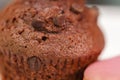 Chocolate Cup Cake Royalty Free Stock Photo