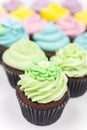 Chocolate Cup Cakes With Colorful Icing or Frosting Royalty Free Stock Photo