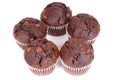 Chocolate cup cakes isolated