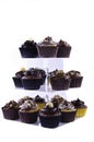 Chocolate Cup Cakes on a Stand Royalty Free Stock Photo