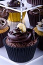 Chocolate Cup Cakes on a Stand Royalty Free Stock Photo