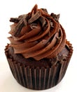 Chocolate Cupcake Royalty Free Stock Photo