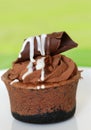 Chocolate cupcake