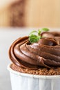 Hocolate cupcake with chocolate cream in white capsules with mint Royalty Free Stock Photo