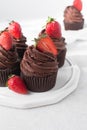 Chocolate cupcake with dark chocolate buttercream and strawberries, double chocolate cupcakes with american buttercream
