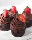 Chocolate cupcake with dark chocolate buttercream and strawberries, double chocolate cupcakes with american buttercream