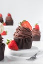 Chocolate cupcake with dark chocolate buttercream and strawberries, double chocolate cupcakes with american buttercream