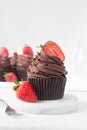 Chocolate cupcake with dark chocolate buttercream and strawberries, double chocolate cupcakes with american buttercream