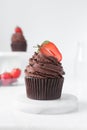 Chocolate cupcake with dark chocolate buttercream and strawberries, double chocolate cupcakes with american buttercream