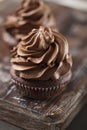 Chocolate cupcake Royalty Free Stock Photo
