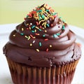 A chocolate cupcake with chocolate frosting and sprink