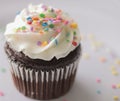 Chocolate cupcake with frosting and sprinkles Royalty Free Stock Photo