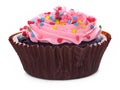 chocolate cupcake isolated on white Royalty Free Stock Photo