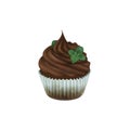 Chocolate cupcake with mint