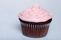 Chocolate cupcake with pink frosting