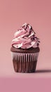 Chocolate cupcake with pink frosting and sprinkles Royalty Free Stock Photo