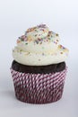 Chocolate cupcake with sprinkles Royalty Free Stock Photo