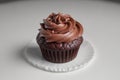 Chocolate Cupcake With Swirled Frosting on a White Table