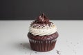 Chocolate Cupcake With Swirled Frosting on a White Table