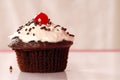 Chocolate Cupcake With Vanilla Buttercream
