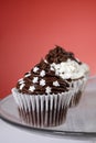 Chocolate cupcakes