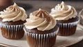 Chocolate cupcakes with beige ganache frosting. Dessert with whipped cream