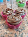 Chocolate Cupcakes brasilian brigadeiro Royalty Free Stock Photo