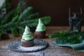 Chocolate cupcakes christmas tree top view of icing sugar