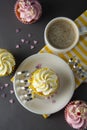 Chocolate cupcakes and coffee , breakfast with colorful cupcakes. Gray background. Sweet dessert Royalty Free Stock Photo